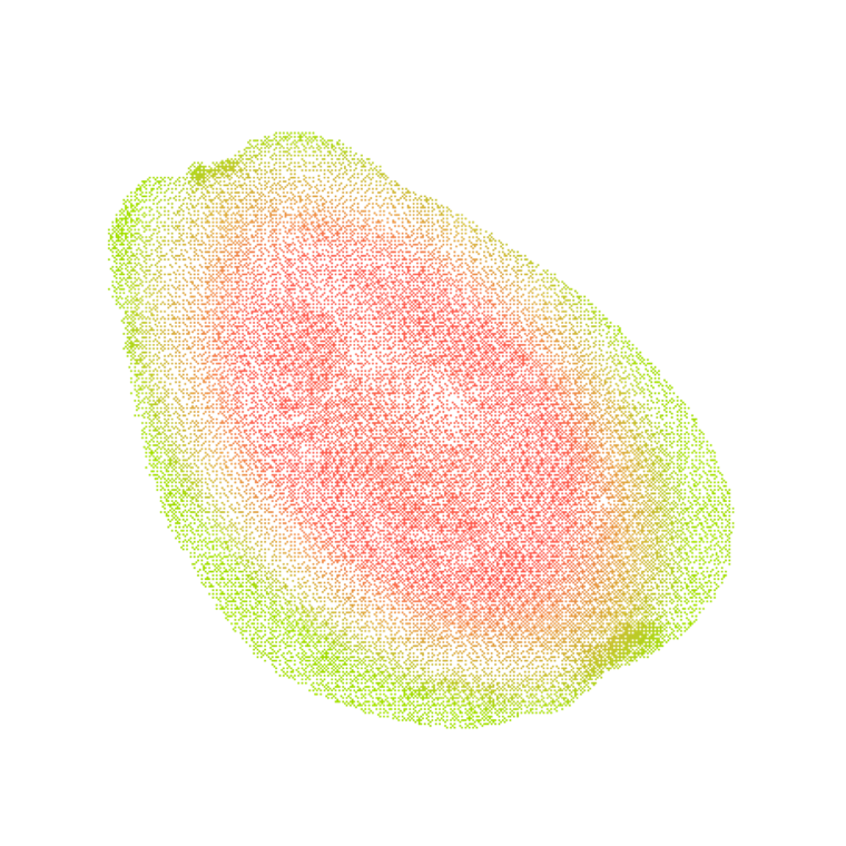 Guava